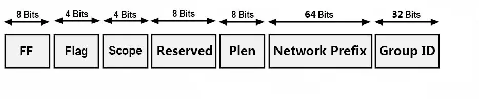 IPv6 multicast address format